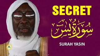 Les secrets de sourate Yacine par Serigne Samba Diallo • @Faydatidianiya