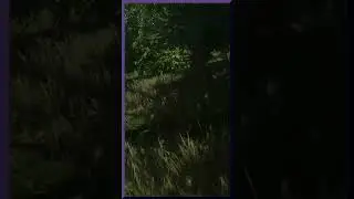Creeped Up on From Behind a Tree - Miscreated - Early Days