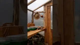 we made a greenhouse and I feel HOME.