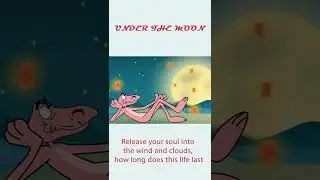 Release your soul into the wind and clouds 🌟 How long does this life last 🚲 Feardog Lofi #shorts