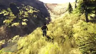 GTA5:Freak&greeks/side other stuff