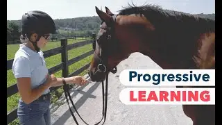 The 3 Challenges of Riding and Why HOW We Learn Matters