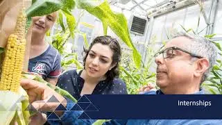 University of Arizona:Tucson, Admission Counselor, Fall 2020