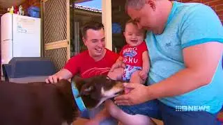 McGowan Government in Western Australia considers to allow same-sex surrogacy| Panax Center