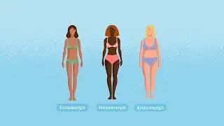 Body Type Quiz: Discovering Your Ectomorph, Mesomorph, or Endomorph Profile