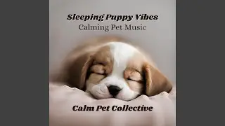 Calm Pet Music