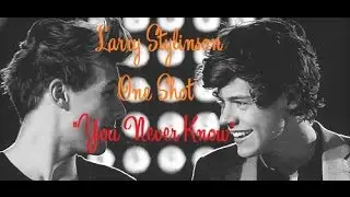 Larry Stylinson One Shot 
