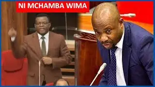 DUH! BILA UOGA UYU MBUNGE AMUITA GWAJIMA JINA HILI, ANATAFUTA UMAARUFU, MCHAMBA WIMA