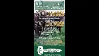 5/12/2025 Feria Mensual - Local Mariscala - Lavalleja - Pedro G. Clavijo