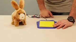 Floppy Bunny #150