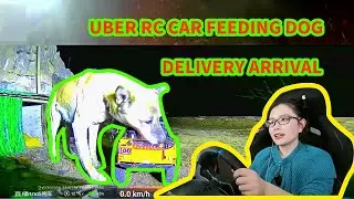 UBER RC CAR FEEDING DOG,DELIVERY ARRIVAL