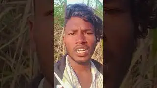 gale she jab gujrato janja ta #music $ashish yadav #maghisadsong #trending #ashishyadav #shortsvideo