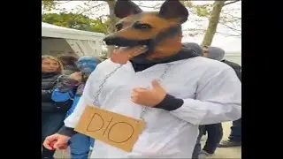 Meme italiani senza olio di palma (NUOVA RICETTA)