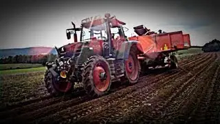 Kartoffeln roden mit Fendt 312 Vario und Grimme