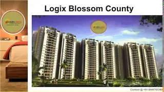 Logix Blossom County