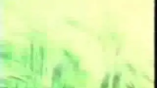 modern-grey　/　アイハナニ