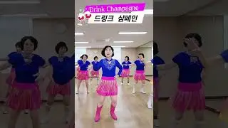 Drink Champagne Line Dance #황보라인댄스