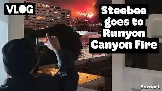 Steebee goes to Runyon Canyon Fire (VLOG)