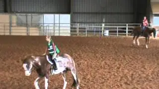 Class 4 Hunter Under Saddle