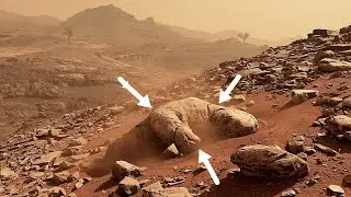 NASA&rsquo;s Latest Mars Images Exposed - NASA's Newly Released Images Of Red planet - #32 