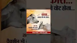 गौं माता support a cow 🐄🐄 #cow #help #status