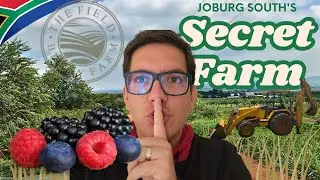 🇿🇦This Secret Berry Farm Will Blow Your Mind! 🤫 ✔️