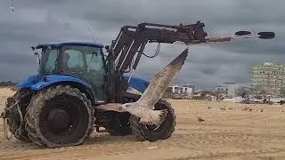 De vissers van Monte Gordo, Portugal, 19 december 2025