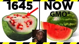 Are GMOs Safe? | Africa's Food Security