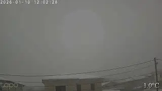 DumbravitaWeatherTimelapse cloudy foggy and partial melt 2026 01-10 0.0mm