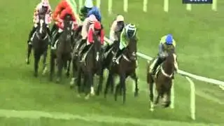 Cheltenham 2012 Stan James Champion Hurdle Challenge Trophy - Rock On Ruby
