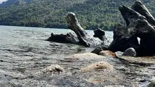 MIX MUSICA AMBIENTAL 🎶🎧NEUQUEN PATAGONIA ARGENTINA #ai #instrumental
