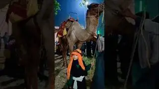 28 Rajab Juloos Lucknow 2026 #yahussain #imamhussain #yaalimadad #yaali #viralvideos #viral #shorts