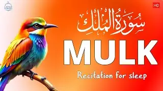 Recite This Every Night Before Sleep | Surah Mulk | Hart touching recitation | By Shamsul Haque |