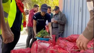 Earthquake Response - Aid for Morocco - Airlink & GlobalMedic