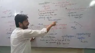 2nd Year-Biology-Ch.26-Productivity Of Aquatic Ecosystem