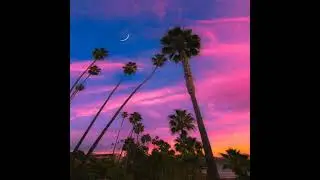 [FREE] 