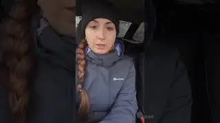 На мою кошку напала стая собак