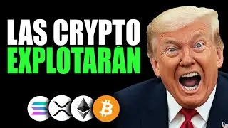 TE HACEN CREER que BITCOIN va a COLAPSAR y el BULL RUN es INMINENTE