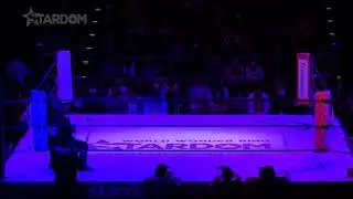 Hazuki Retirement Match Entrance 2019