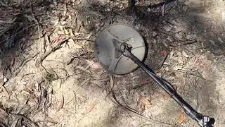 Sunbaker