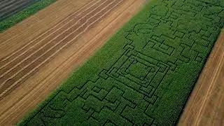 Kukorica-útvesztő - Kiszombor 2024