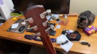 Alvarez RF20SC Guitar Restoration and First Impression