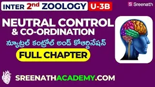 Neural Control and Coordination PYQs - Inter 2nd Year Zoology Unit 3B (TS & AP)