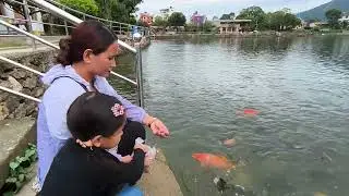 Family Trip to the Pond | Surprised to See So Many Fish! 😱🐟 | पोखरीमा त माछा नै माछा!