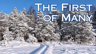 RELAXING WALK THROUGH SWAMP IN WINTER (4K)