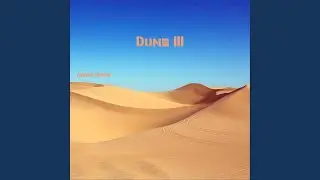 Desert Sunset
