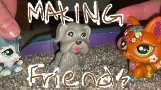 health project video -- making the right friends