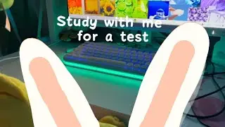 ( Short video ) study with me for an upcoming test :) 🥕⭐️🥕⭐️