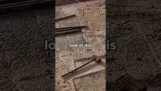 What's This?