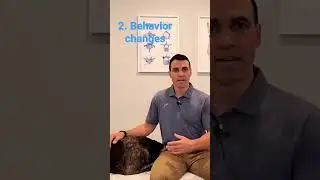 3 signs your dog is in pain